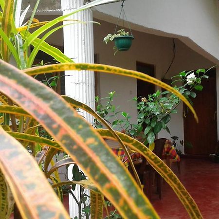 Winstar Homestay Σιγκιρίγια Εξωτερικό φωτογραφία
