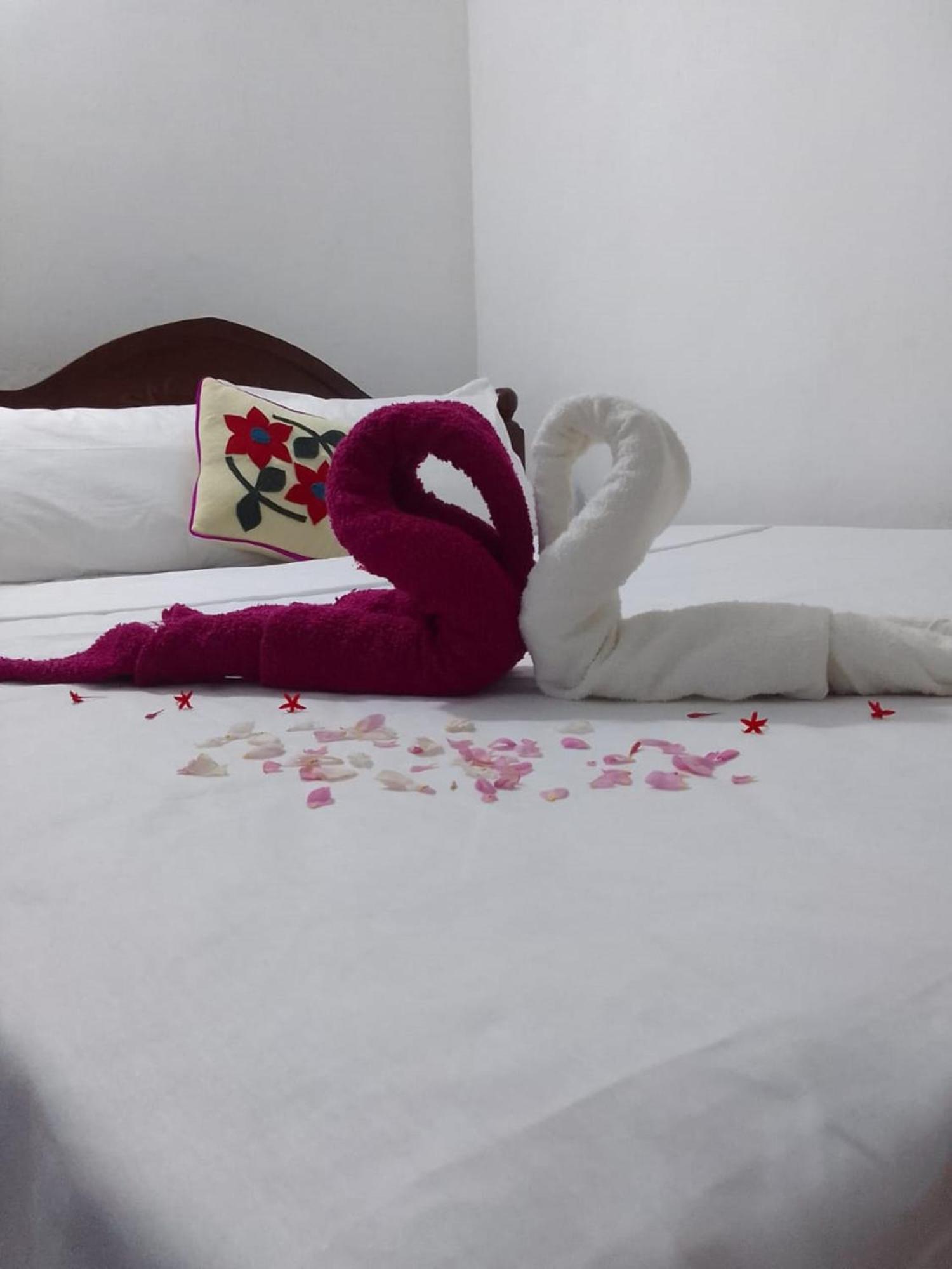 Winstar Homestay Σιγκιρίγια Εξωτερικό φωτογραφία