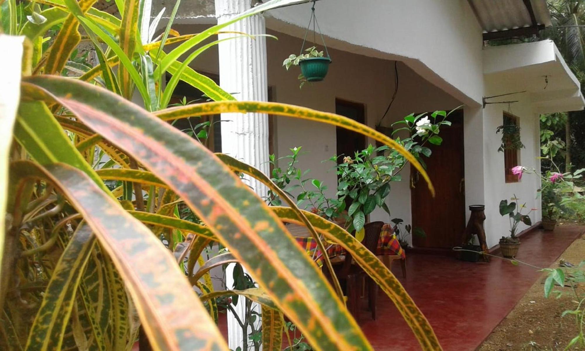 Winstar Homestay Σιγκιρίγια Εξωτερικό φωτογραφία